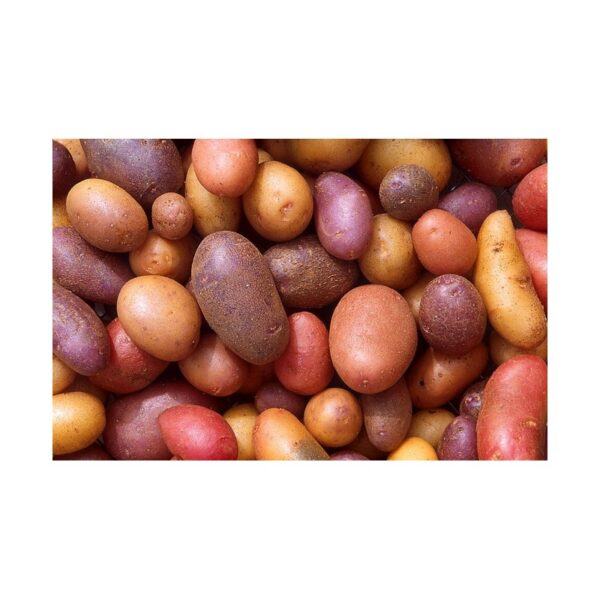 Potato (Aloo) 1kg