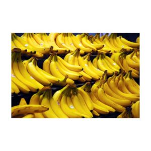 Banana Robusta (Kela) 1 dozen